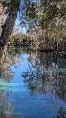 Florida Spring