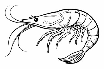 coloring page line art the shrimp black vector