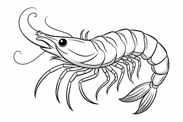 coloring page line art the shrimp black vector
