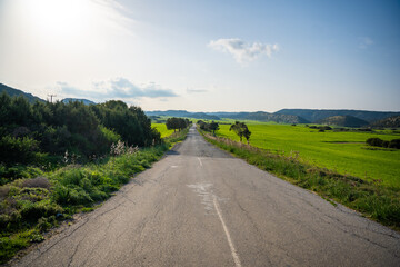 A scenic road winds through a lush green landscape with mountains, trees, and meadows in Northern Cyprus. The image captures the natural beauty and tranquility of the Mediterranean countryside