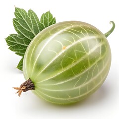 Ultra-detailed, hyper-realistic gooseberry, high resolution, photorealism, translucent green skin with fine veins