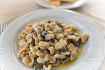 Sardinian pasta homemade dish of fresh goat ricotta cheese, sauteed wild mushroom sauce topping on white plate in Sardinia, Italy macro closeup