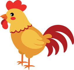 Farm rooster isolated on white