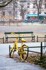 Fototapeta premium sad lonely yellow rover
