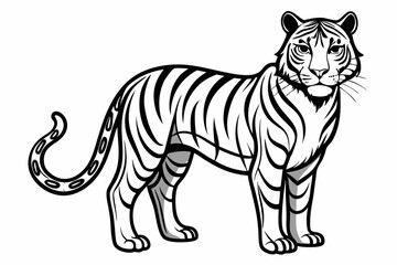 coloring page line art the tiger black vector