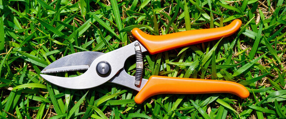 Stylized pruning shears on grass, vintage gardening tools concept
