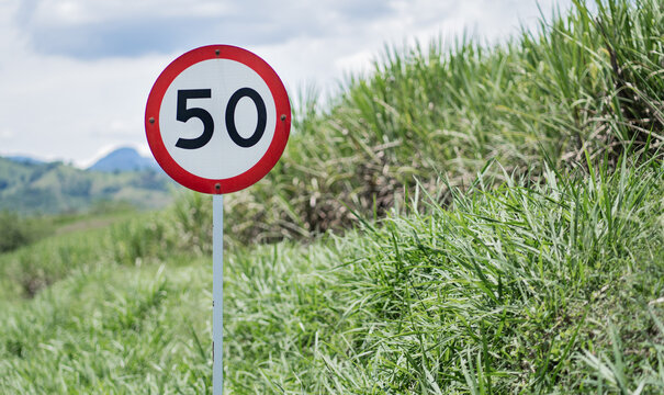 Se&ntilde;al de tr&aacute;fico Tempo 50 (l&iacute;mite de velocidad) y carretera - Foto de stock