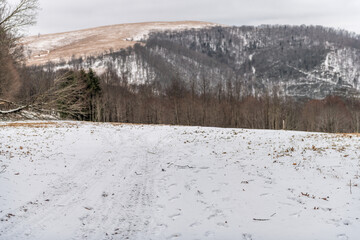 Highland county Virginia rural countryside farm field by maple tree forest near dirt road covered in winter snow at Blue Grass village