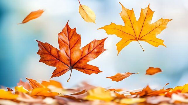 Falling autumn leaves float elegantly in front of a blurred background - Powered by Adobe