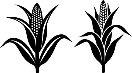 Corn plant solid icon vector art, Vector of growing corn with leaves of vegetable silhouette design