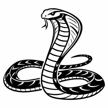 Cobra silhouette black vector