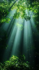 Obraz premium Sunlight rays over forest greenery with daisies in morning high resolution hd image