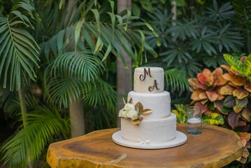 PASTEL DE BODAS