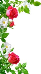 Beautiful Red and White Roses Border Frame Floral Arrangement