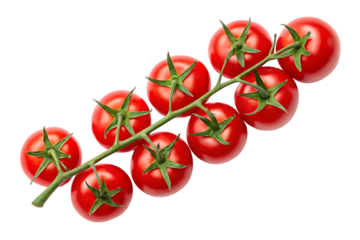 Fresh cherry tomatoes on the vine isolated on black background healthy eating food on transparent background