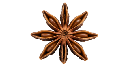 Star Anise Spice Close-up on White Background for Culinary Use