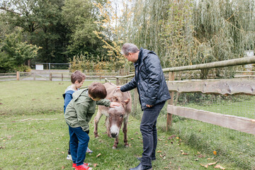 A father and his children pet a small donkey.