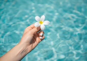Hand holding a white flower above a sparkling blue pool