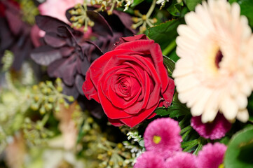 bouquet of red roses
