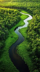 Obraz premium Serpentine River Meandering through Lush Green Canopy from Above