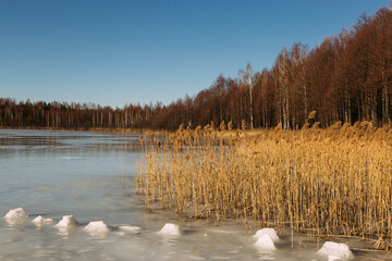 spring lake with cracked ice and partly frozen water in forest. Sunny day with blue sky. season change, danger