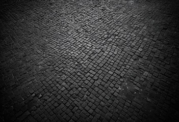 A black and white photo of a cobblestone street.