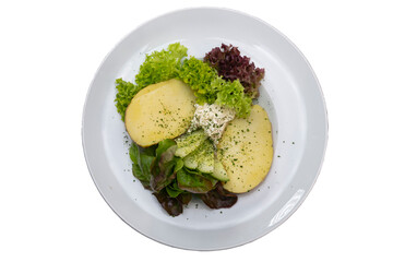 Fresh salad with sliced potatoes, greens, and a flavorful dressing displayed on a white plate in a well-lit kitchen setting