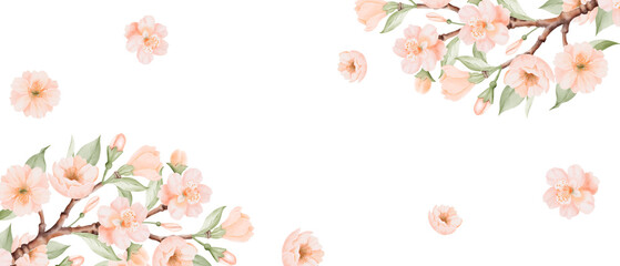 Peach or Cherry Flowers watercolor banner, horizontal square Frame. Spring Blossoming Branches. Card template. Hand drawn watercolor illustration on a white background. Ideal for greeting cards and