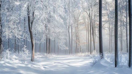 Obraz premium Serene winter wonderland panorama: snow-covered forest and frozen trees in magical sunlight