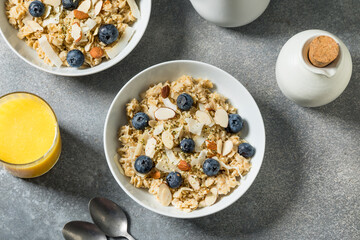 Healthy Homemade Gourmet Oatmeal with Blueberries