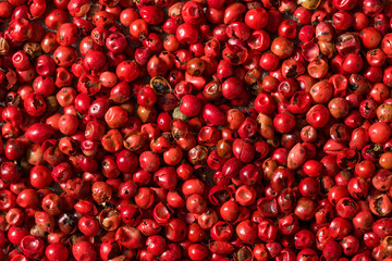 Organic Spicy Red Pink Peppercorns