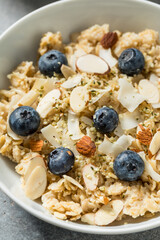Healthy Homemade Gourmet Oatmeal with Blueberries