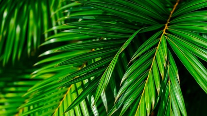 Lush green palm fronds create a vibrant, tropical atmosphere. The image highlights the beauty and texture of nature's designs.