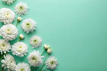 Top view of white flowers on pastel green background with empty space.