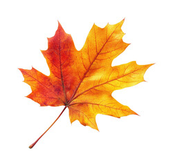 Fototapeta premium Autumn leaves falling nature leaf colorful isolated on transparent background, png