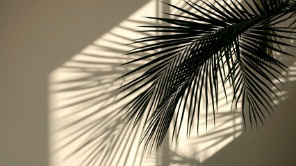 Fototapeta premium An indoor, eye-level view captures a palm leaf casting shadows on a cream-colored wall, evoking a sense of tropical tranquility and indoor nature