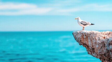 This striking image portrays a solitary seagull standing on a cliff edge, gazing at the endless ocean, evoking feelings of solitude, peace, and the serenity of nature’s beauty.