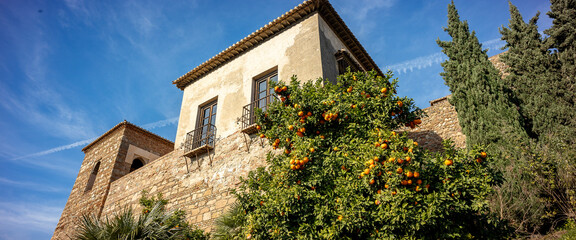 Looking up at outer palace walls of Alcazaba stronghold with orange trees in the foreground