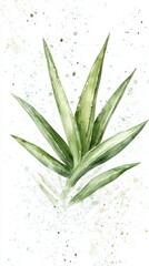 Obraz premium The whole aloe vera plant's vibrant green leaves highlight its natural skincare benefits for hydration and healing