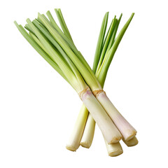 delicate lemongrass at an angle with soft lighting effect


