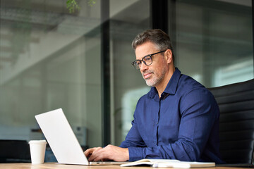 Busy business man of middle age using laptop sitting at office desk. Mature older professional...