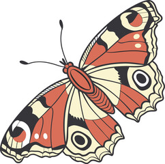 Colorful butterfly vector illustration on a white background