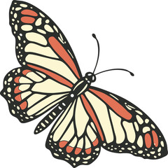 Beautiful monarch butterfly isolated on a white background