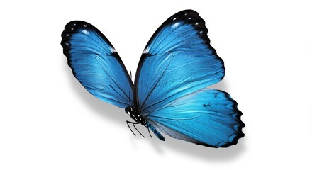 A striking blue butterfly with vibrant wings showcases intricate details and textures. Its vivid colors stand out beautifully against a clean background, perfect for nature lovers.