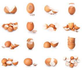 Set of egg shells on white background
