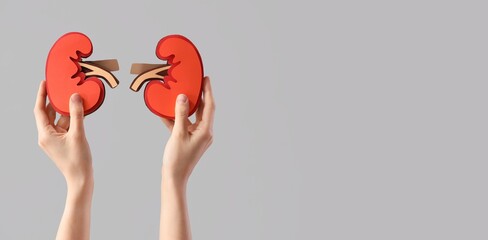Hands holding paper kidneys on grey background with space for text