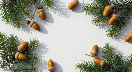 An elegant arrangement of golden acorns and evergreen branches set against a crisp white background. Ideal for autumn-themed designs, showcasing nature's beauty.