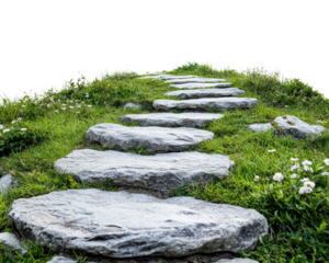Stepping stones pathway through green grass landscape isolated on transparent background, png