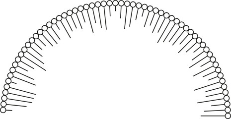 Irregular rays with outline circles at the inside ends