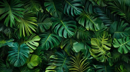 Naklejka premium Vibrant jungle foliage with various shades of green, tropical leaves with great detail. generative ai